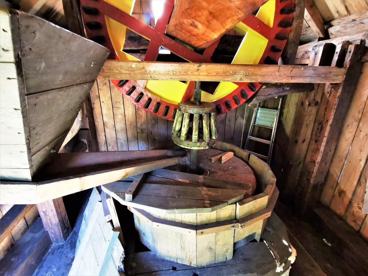 Кемпинги Windmill in a beautiful and quiet location Lagedi